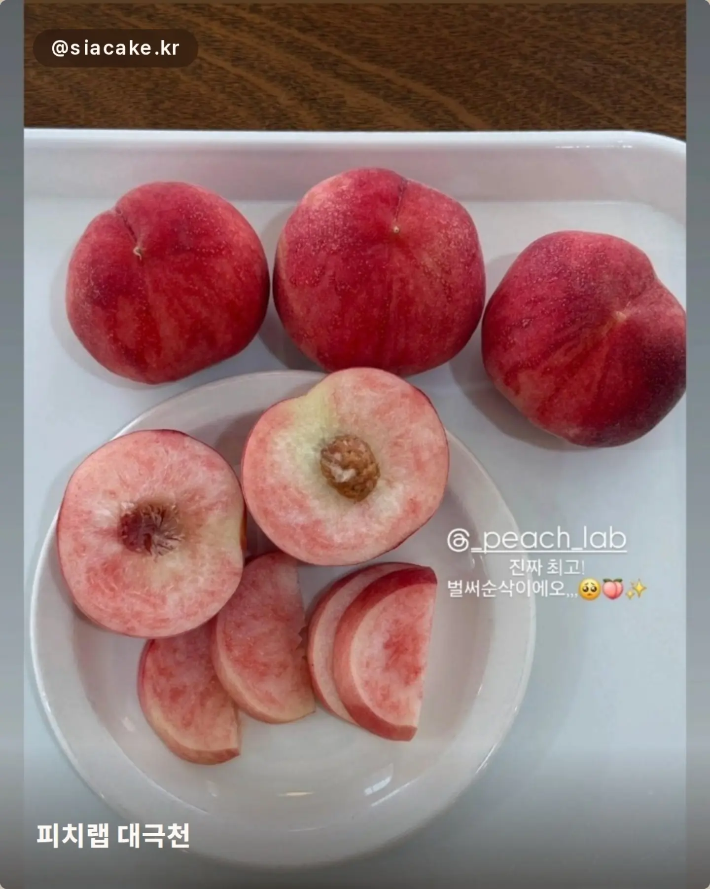 젤리립 3
