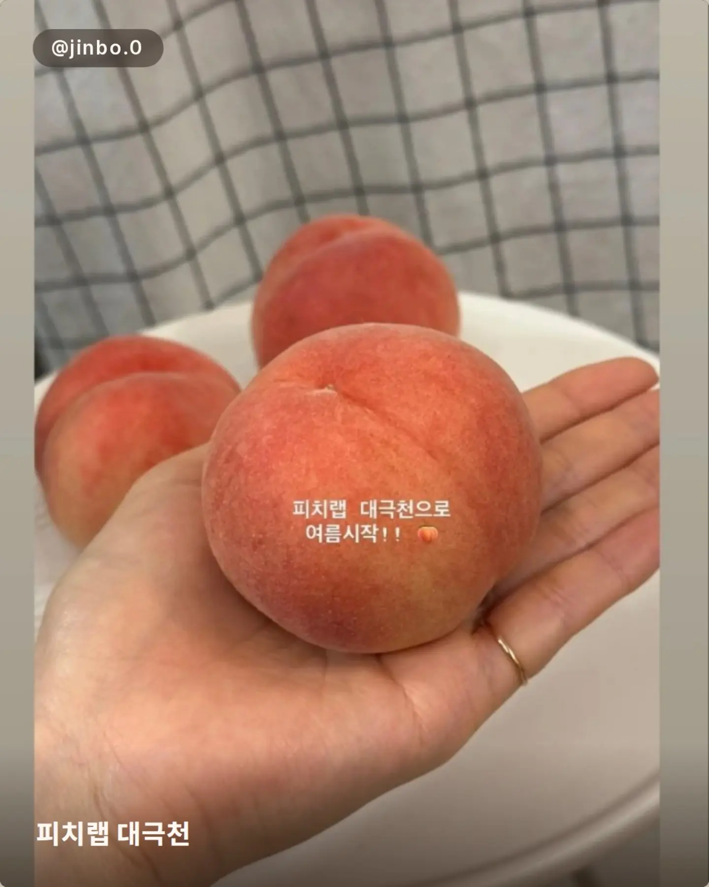 젤리립 5