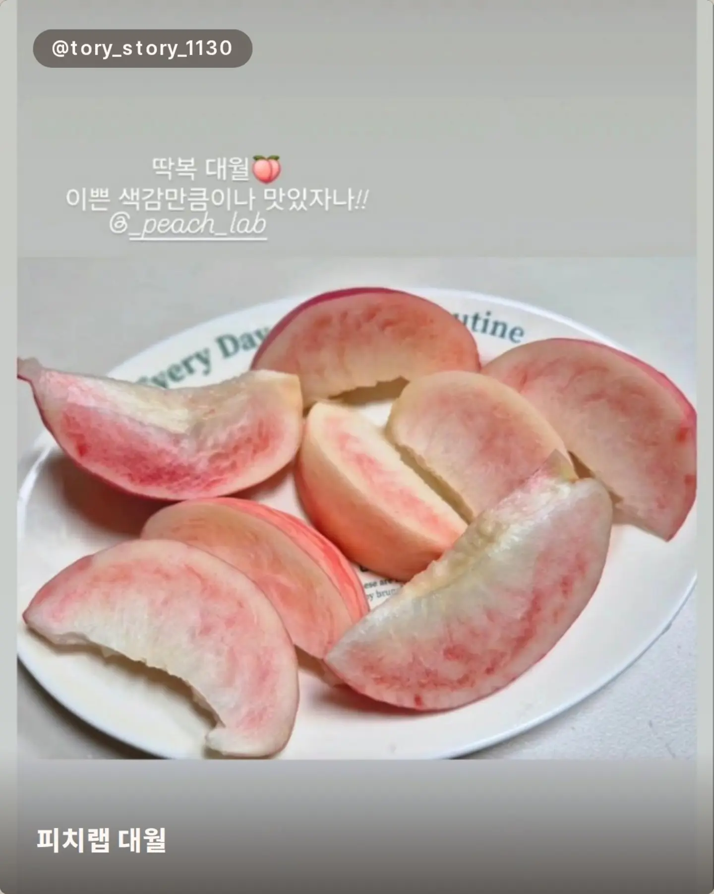 젤리립 8