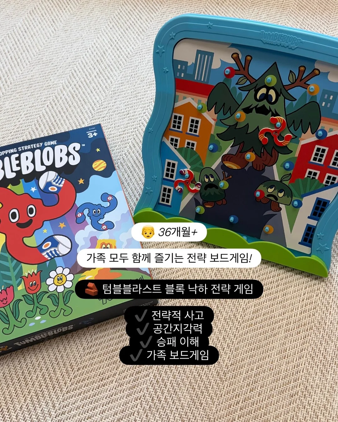 다채로화 과일 9구 5
