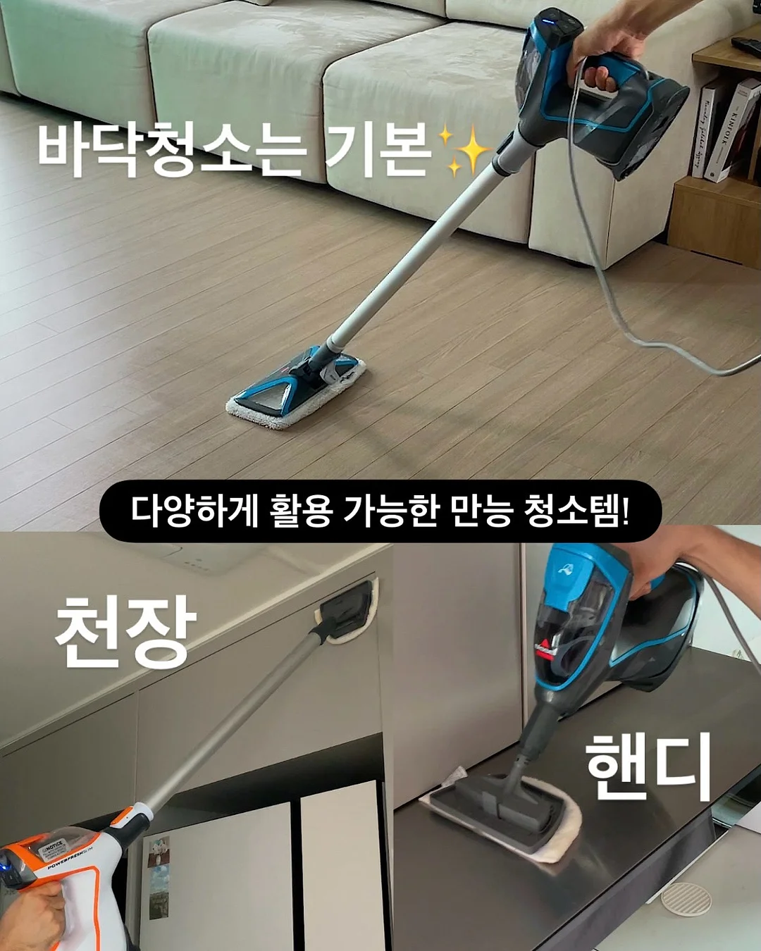 베고니아 마큘라타 9