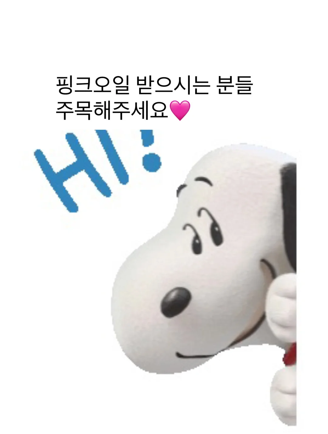 케이스