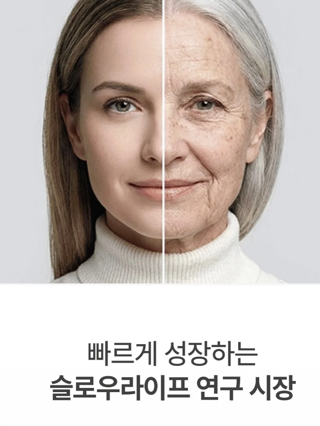 커피차 2