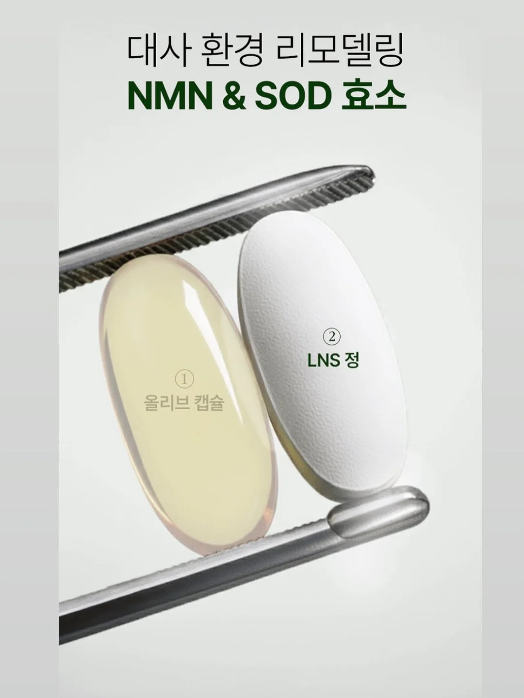 커피차 4