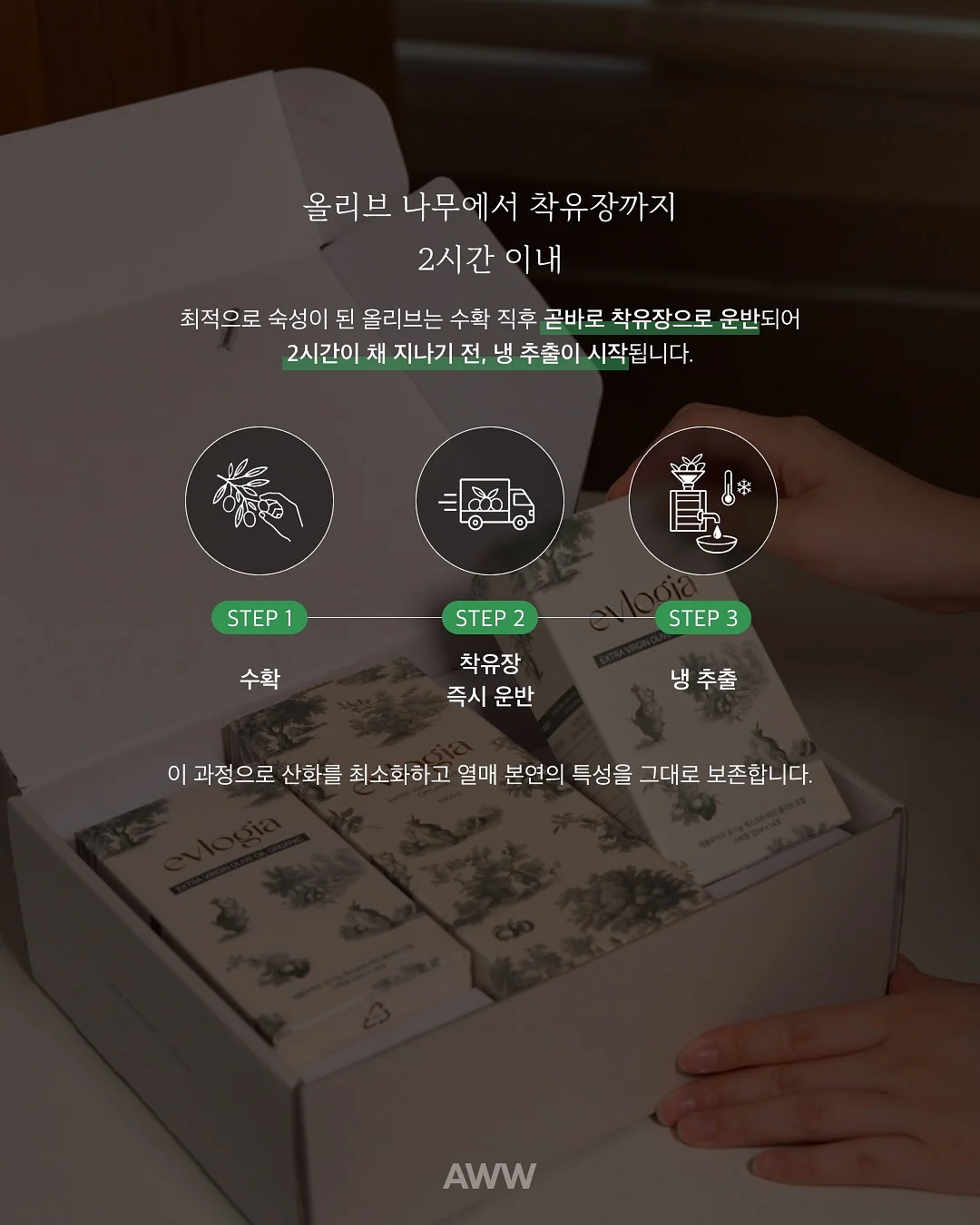 신상 3