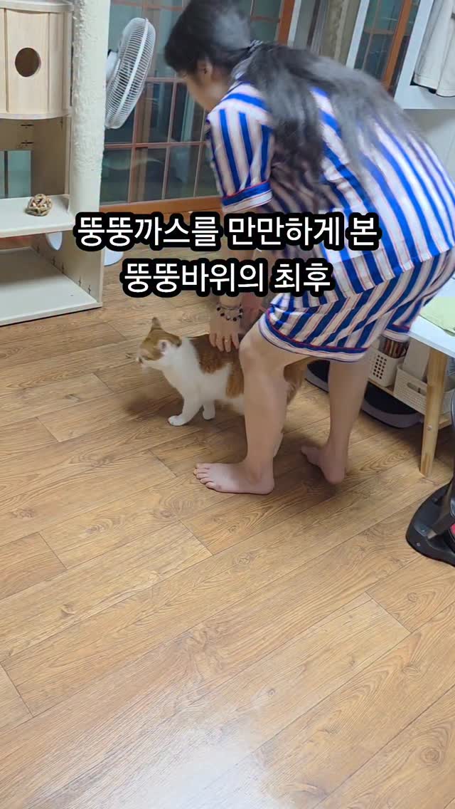 이달의아트 블루체크레이스네일