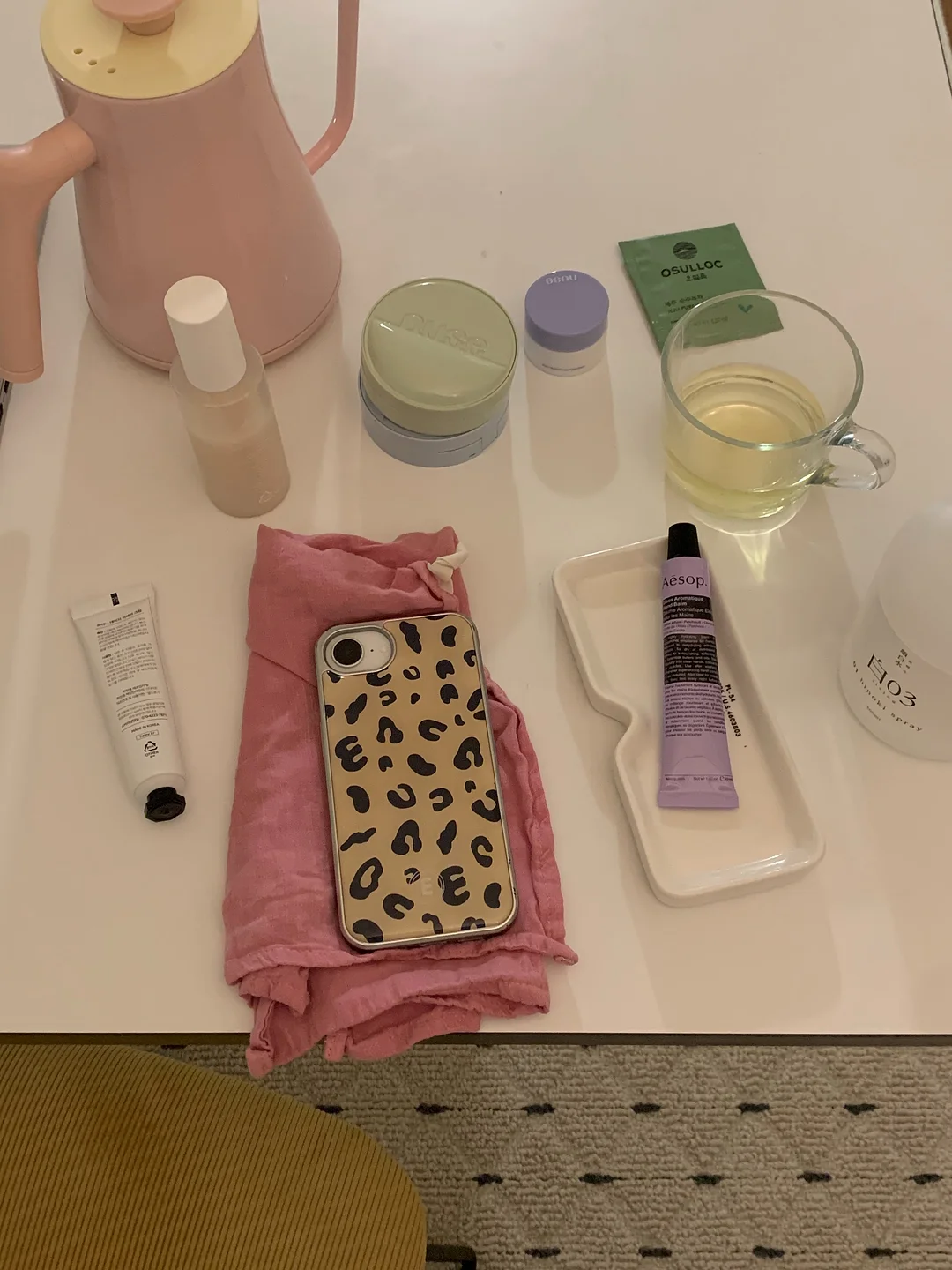 공기정화 식물 2
