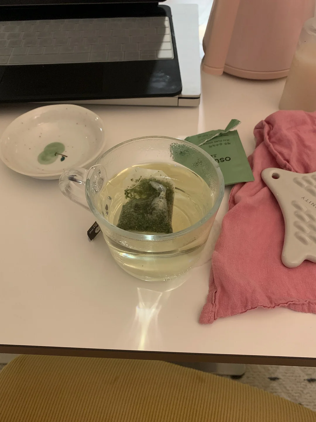 공기정화 식물 3