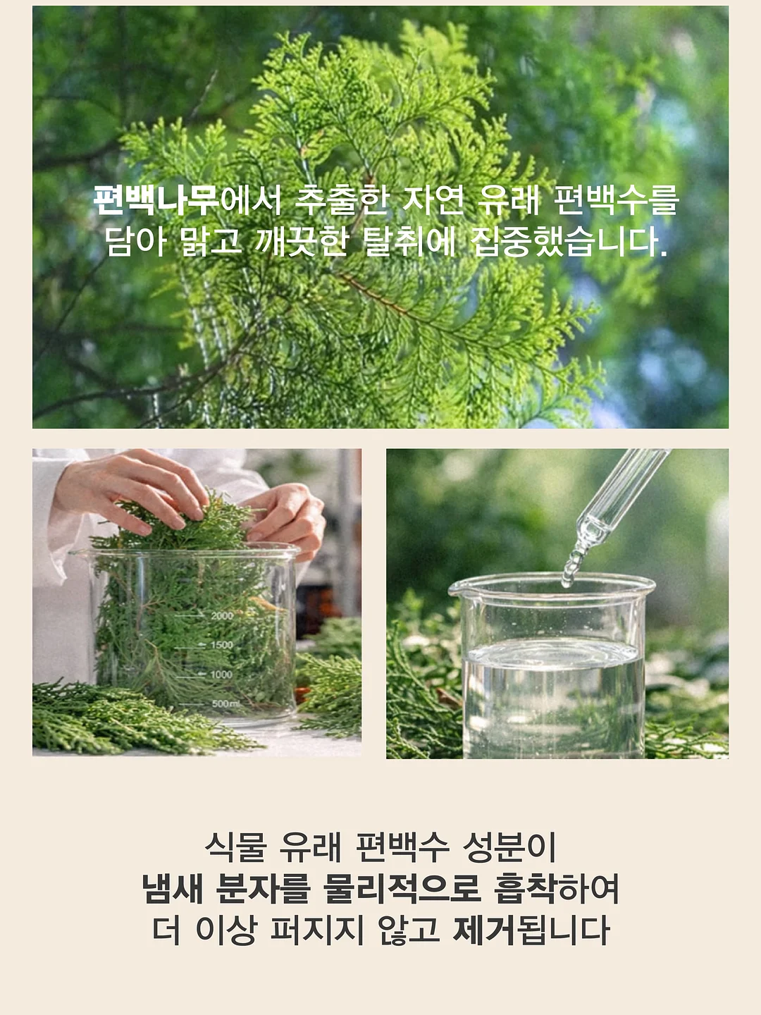 열손연장 2