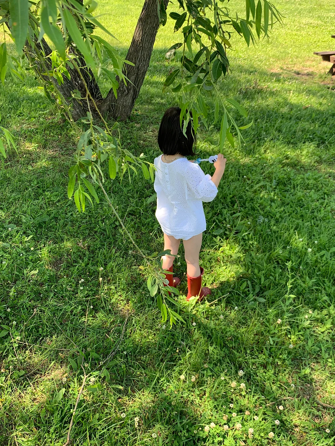 포포라보 올인원 워시 6