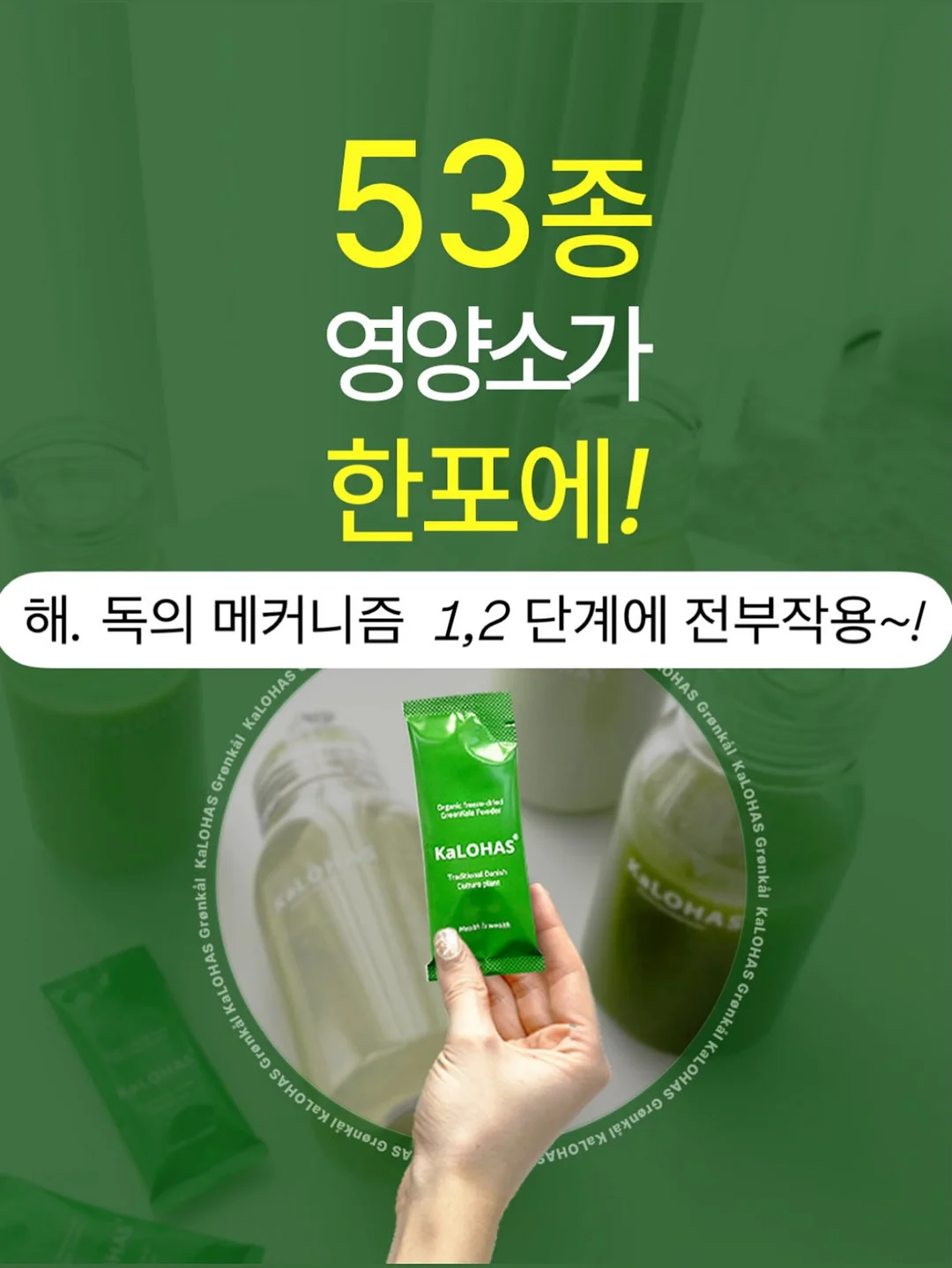 쌀케이크 13
