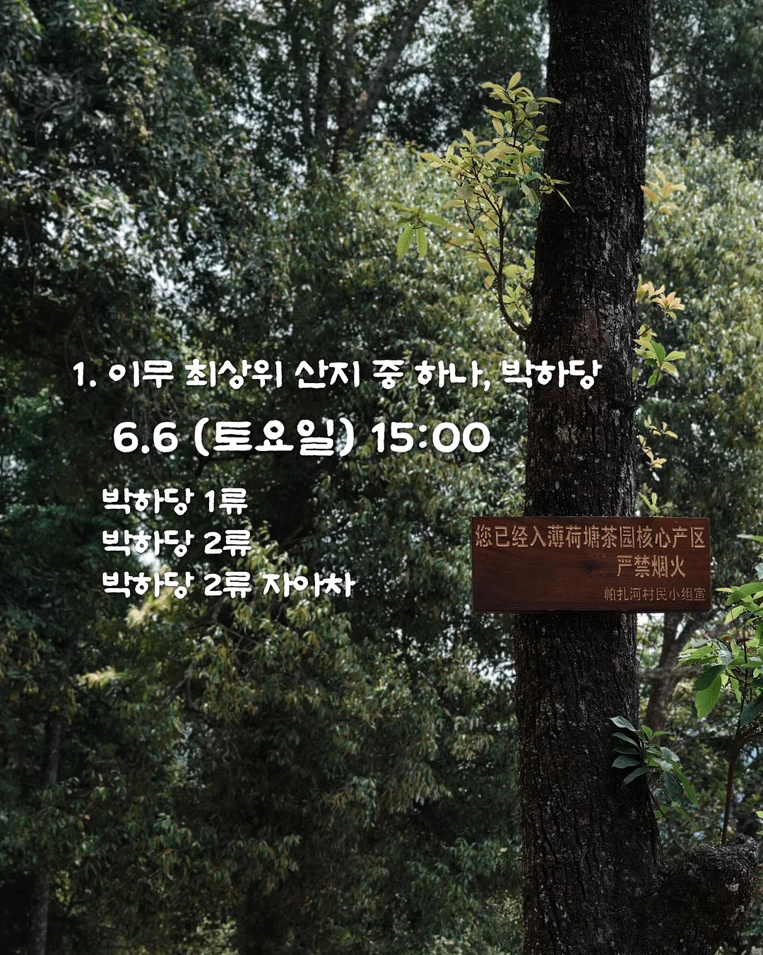 살로몬 크로스백 1