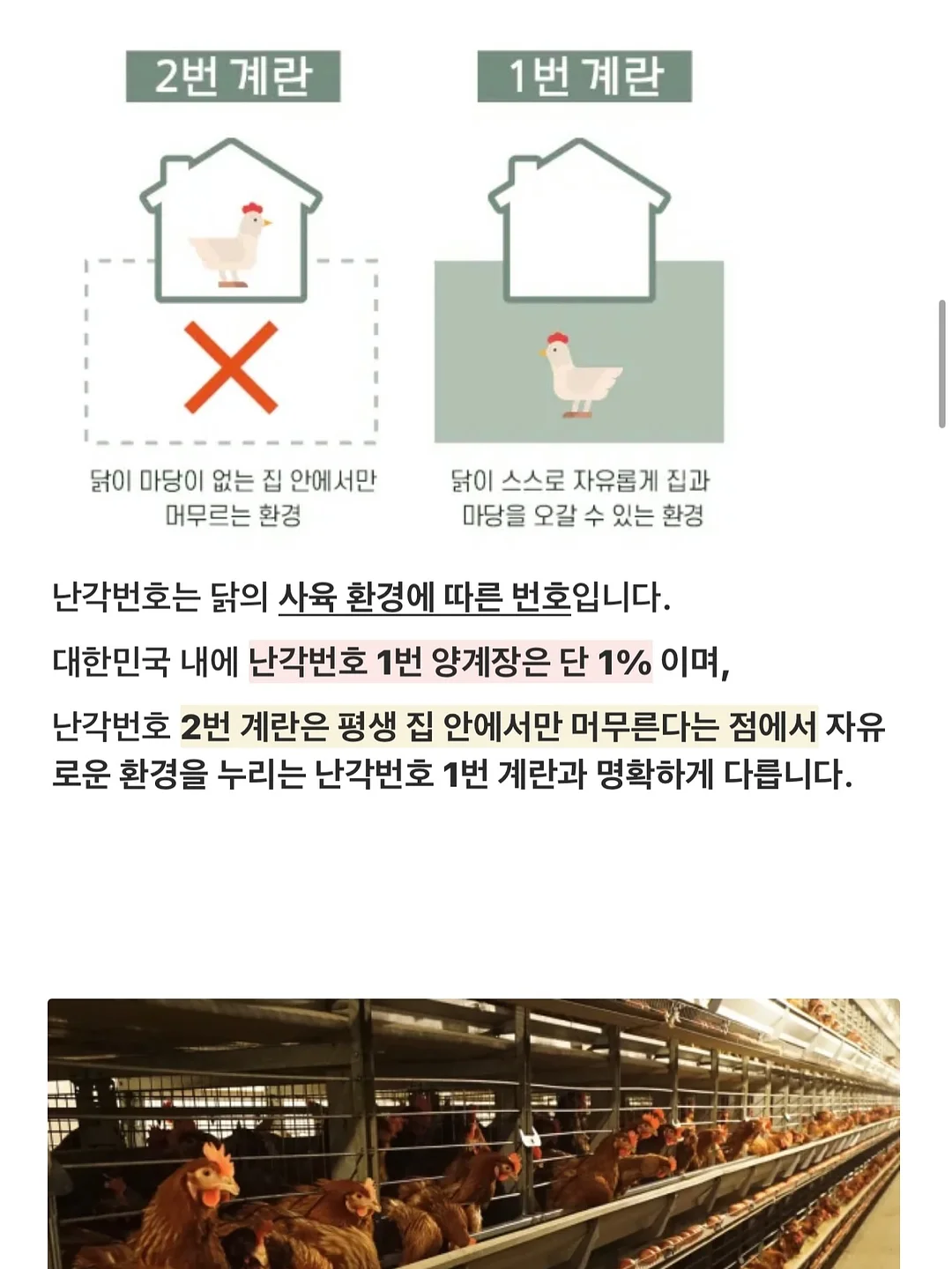 정밀 이사 택일 13