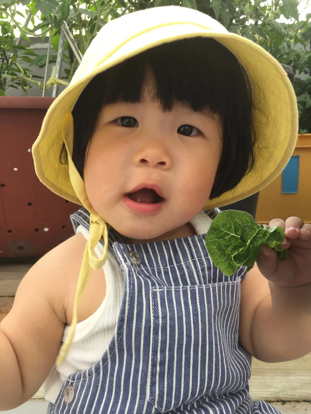 베베숲 시그니처 블랙 헤리티지 물티슈 1
