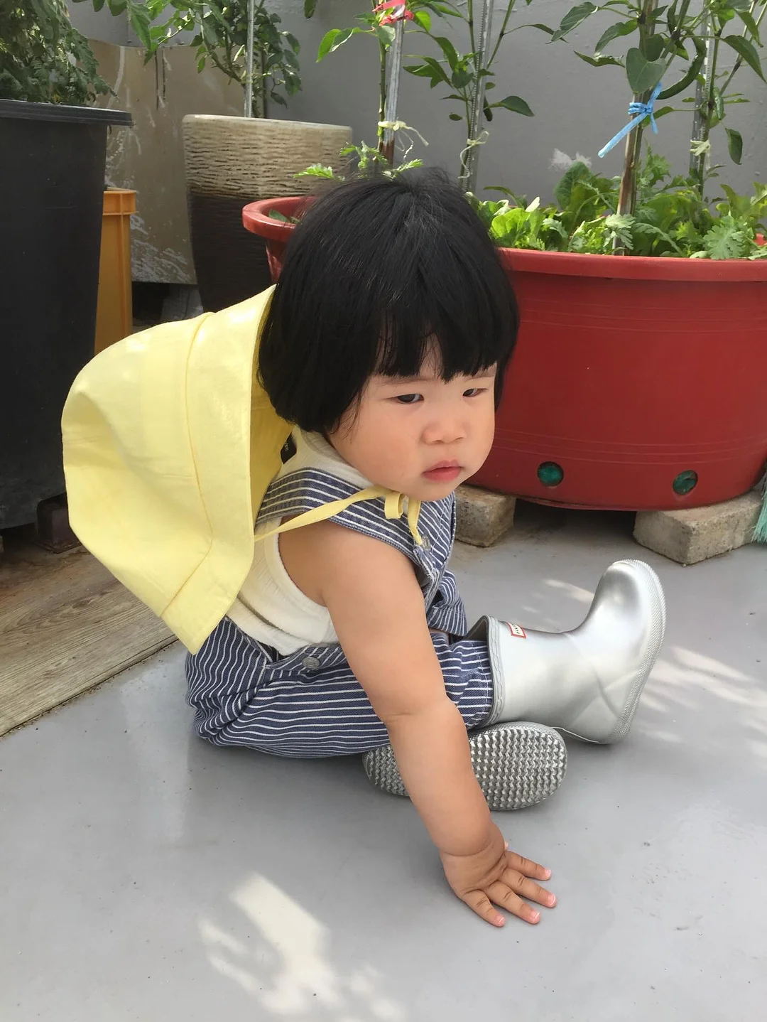 베베숲 시그니처 블랙 헤리티지 물티슈 12