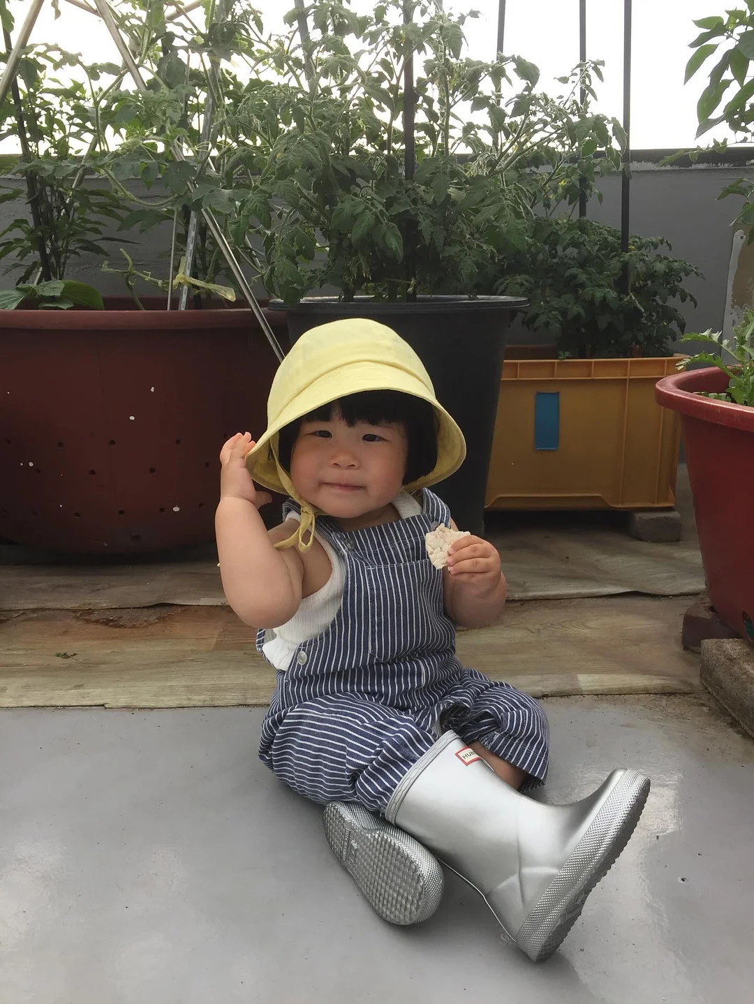 베베숲 시그니처 블랙 헤리티지 물티슈 13