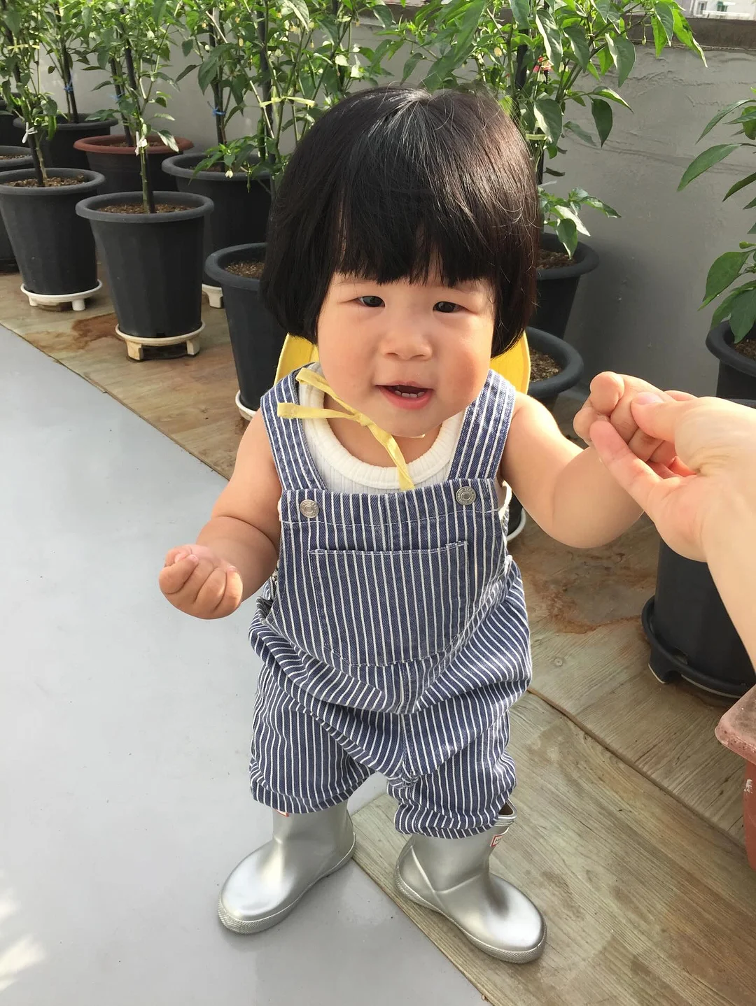 베베숲 시그니처 블랙 헤리티지 물티슈 16