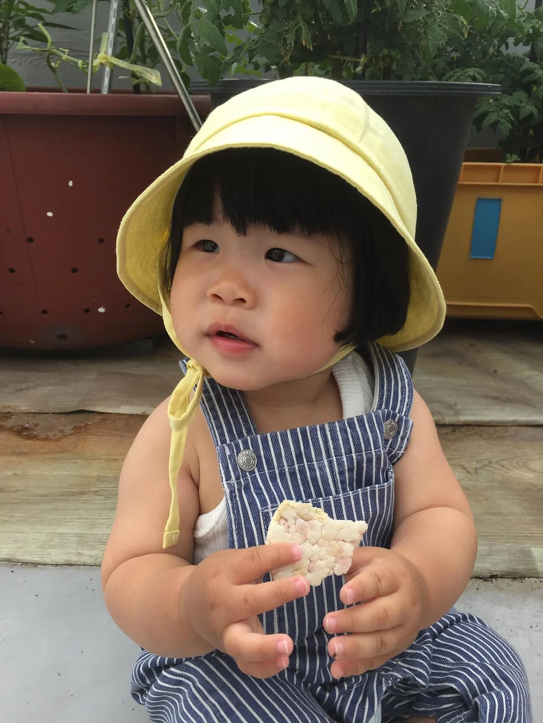 베베숲 시그니처 블랙 헤리티지 물티슈 19