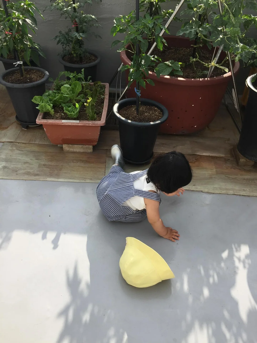 베베숲 시그니처 블랙 헤리티지 물티슈 4