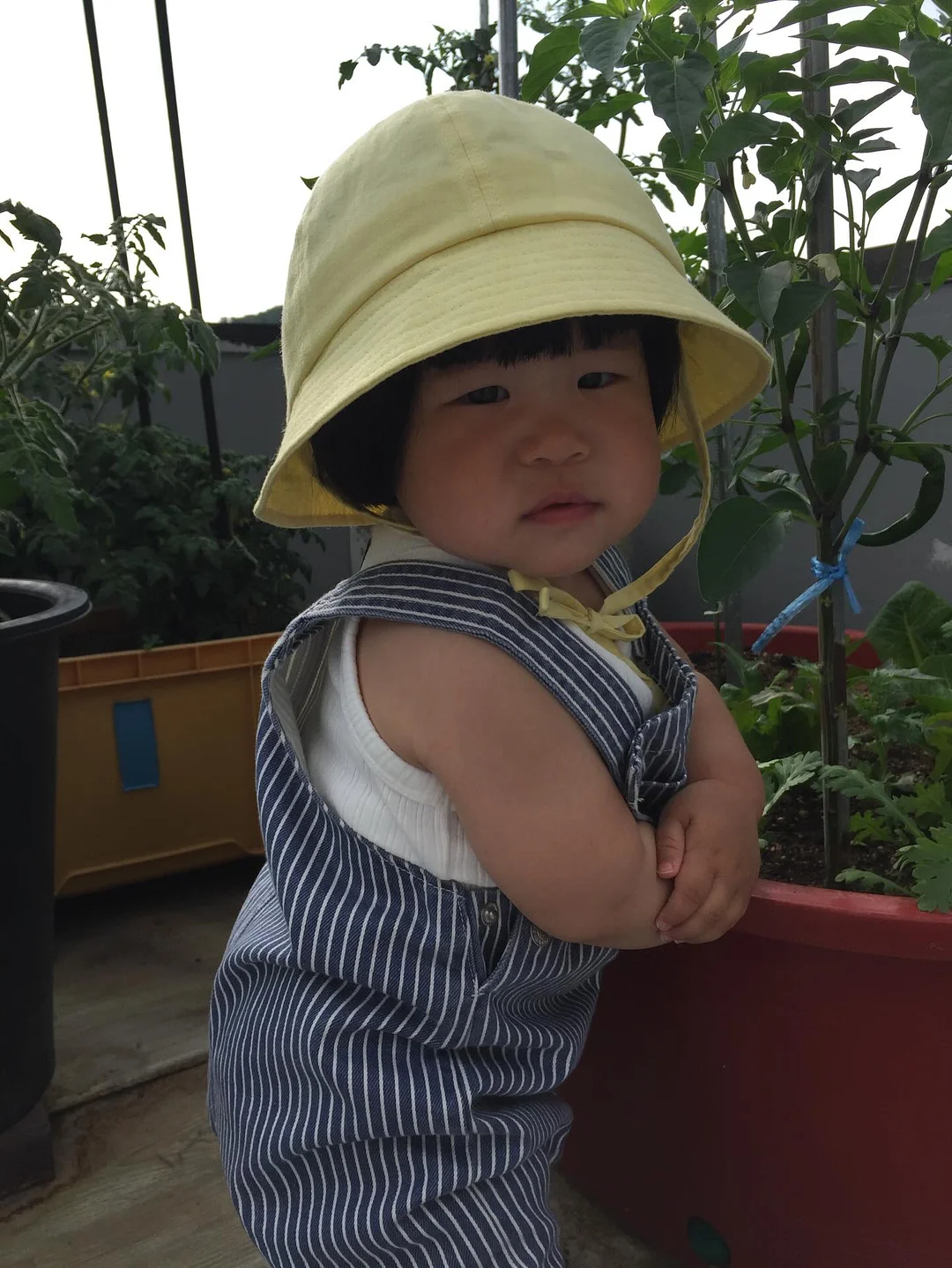 베베숲 시그니처 블랙 헤리티지 물티슈 6