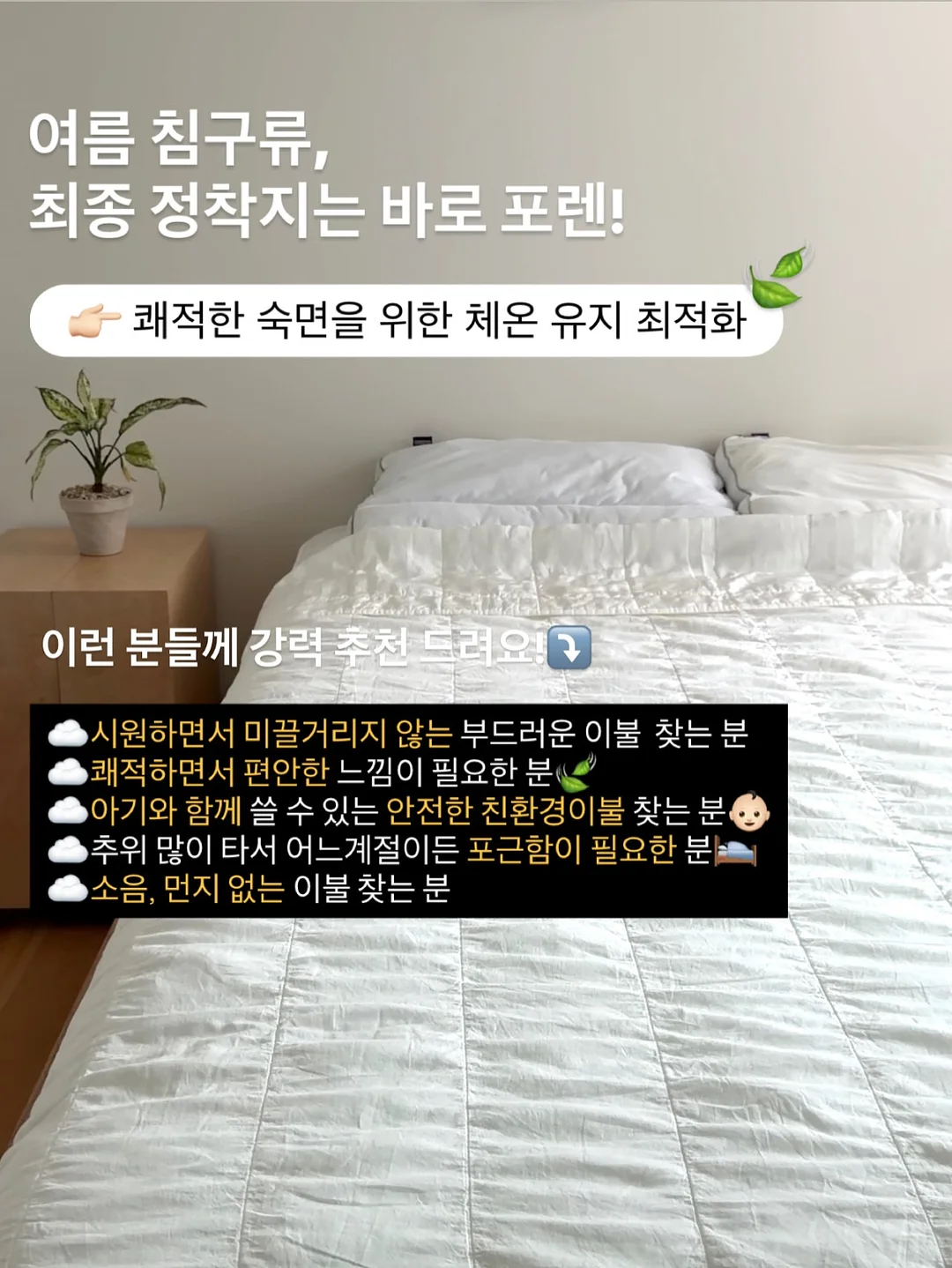진주 완자 2