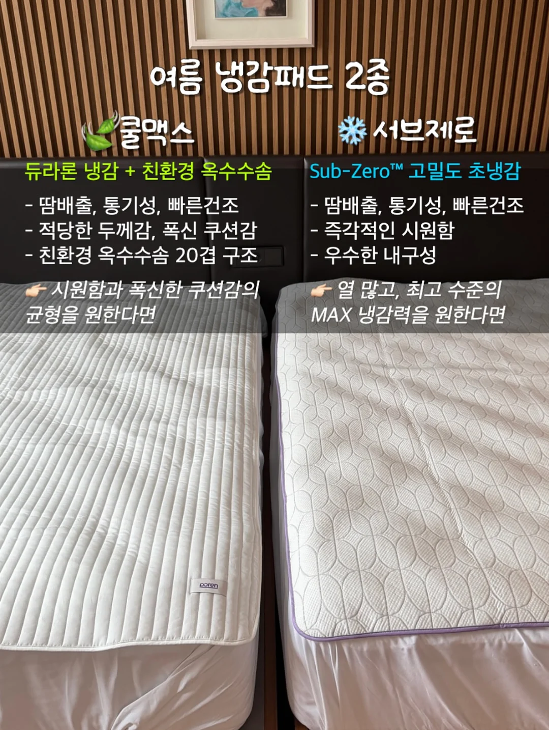 진주 완자 6