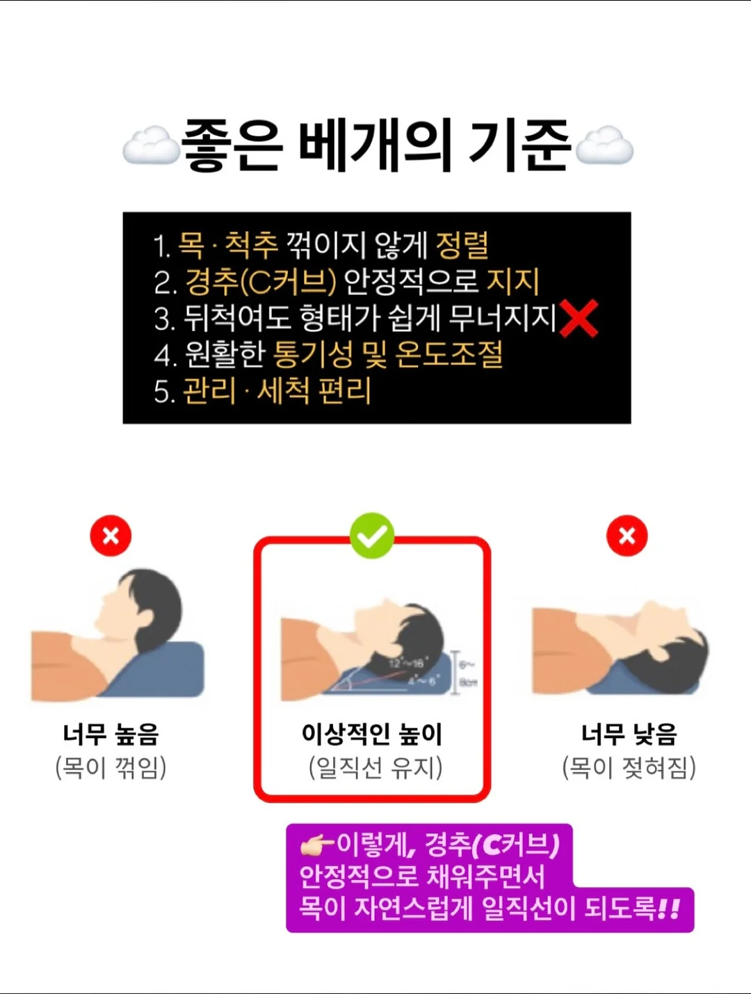 진주 완자 9