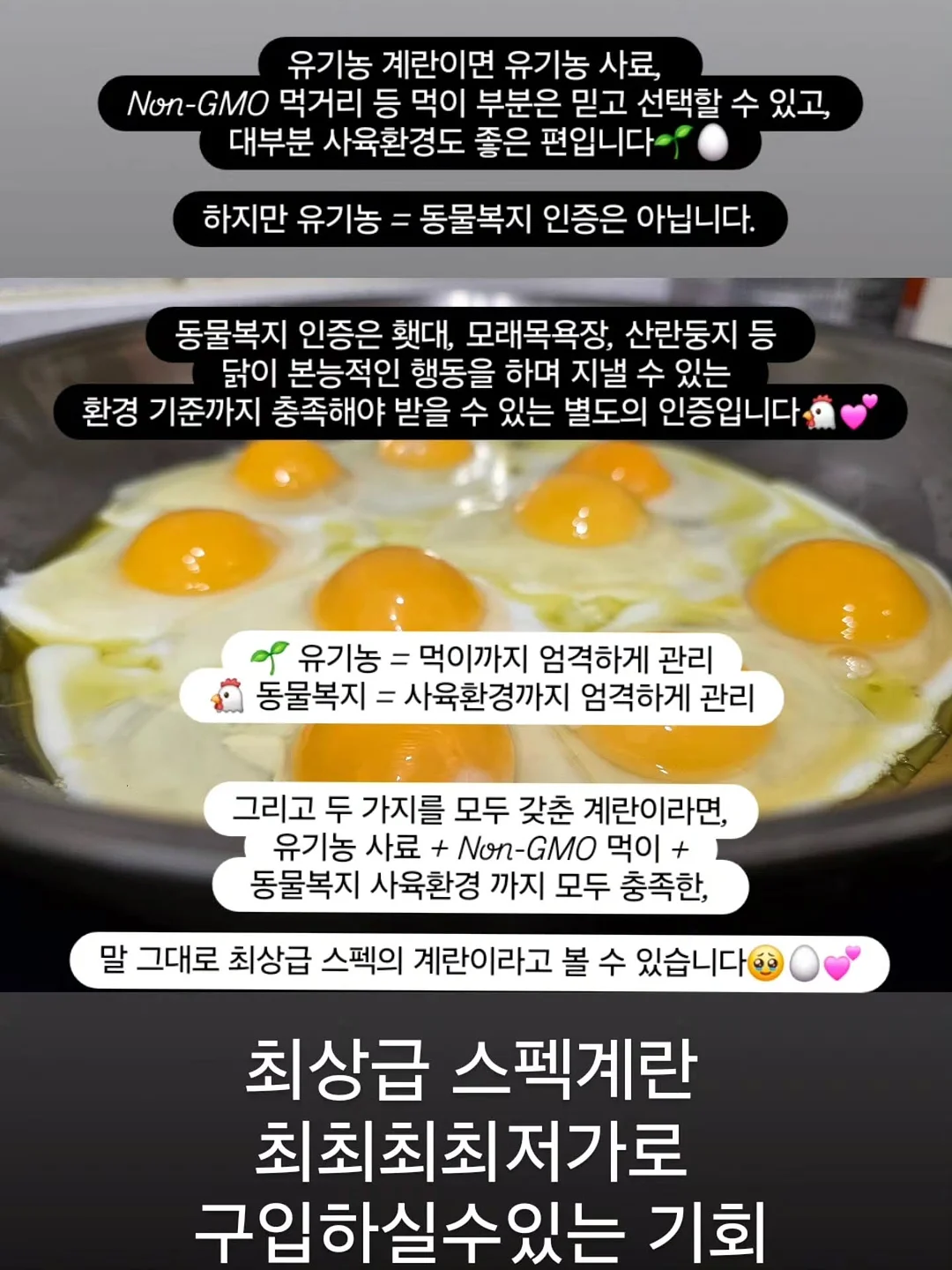 EMS 복부 벨트 12