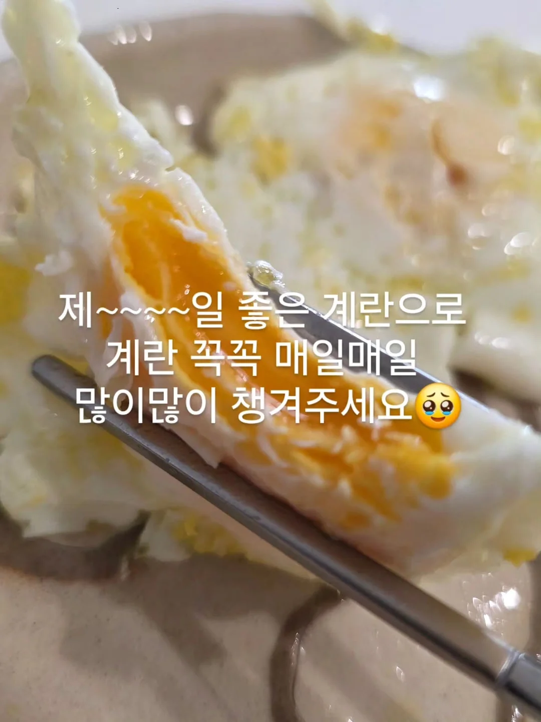 EMS 복부 벨트 13
