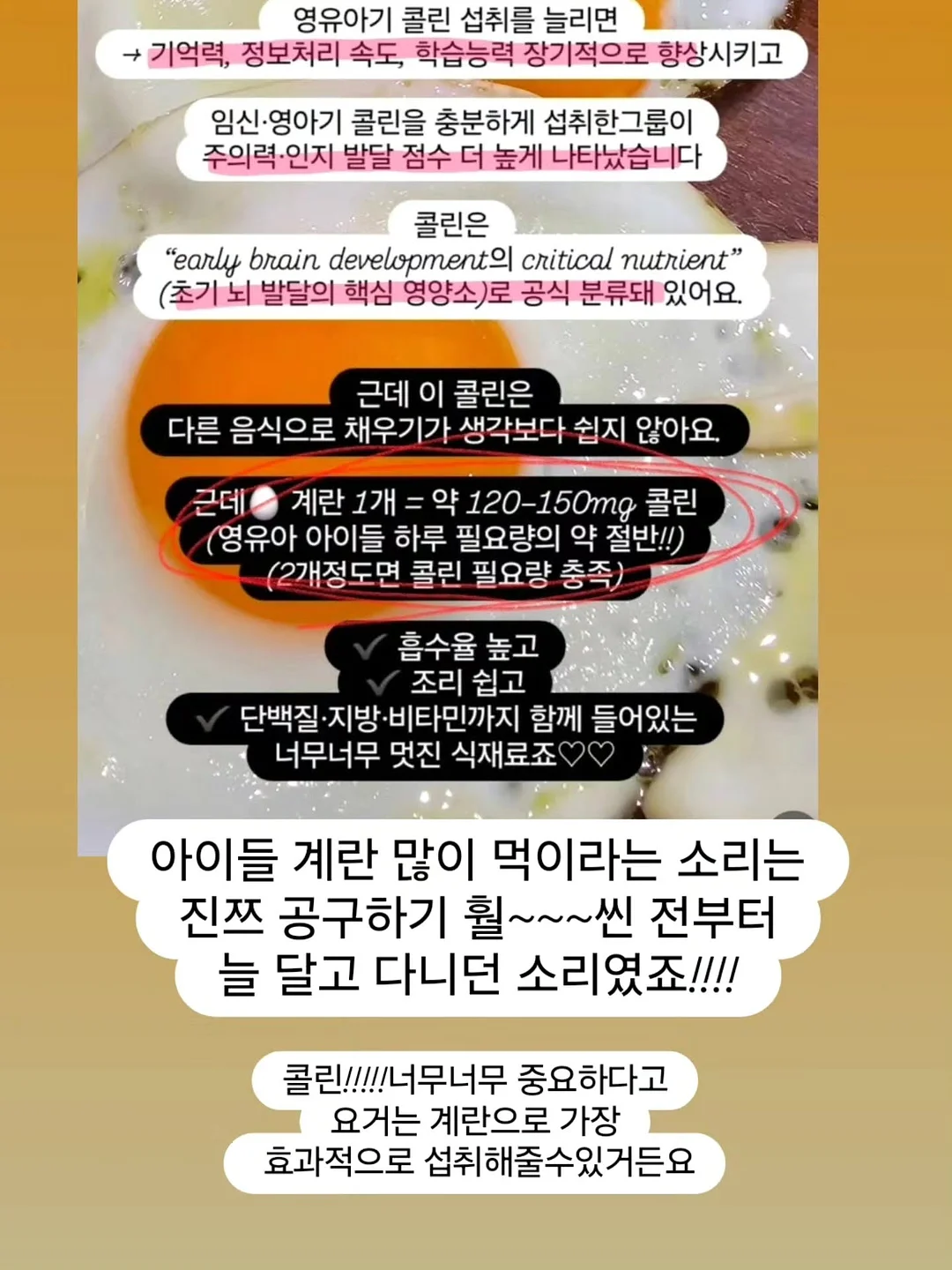 EMS 복부 벨트 2
