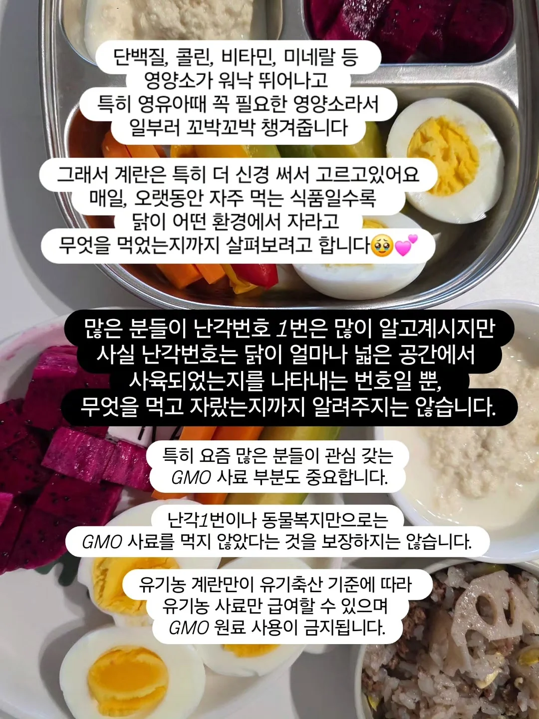 EMS 복부 벨트 8