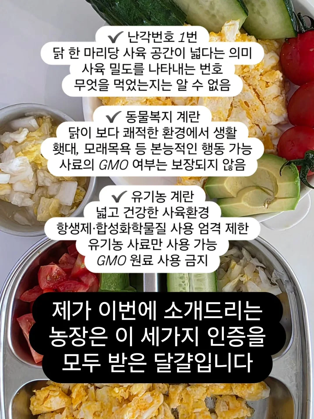 EMS 복부 벨트 9