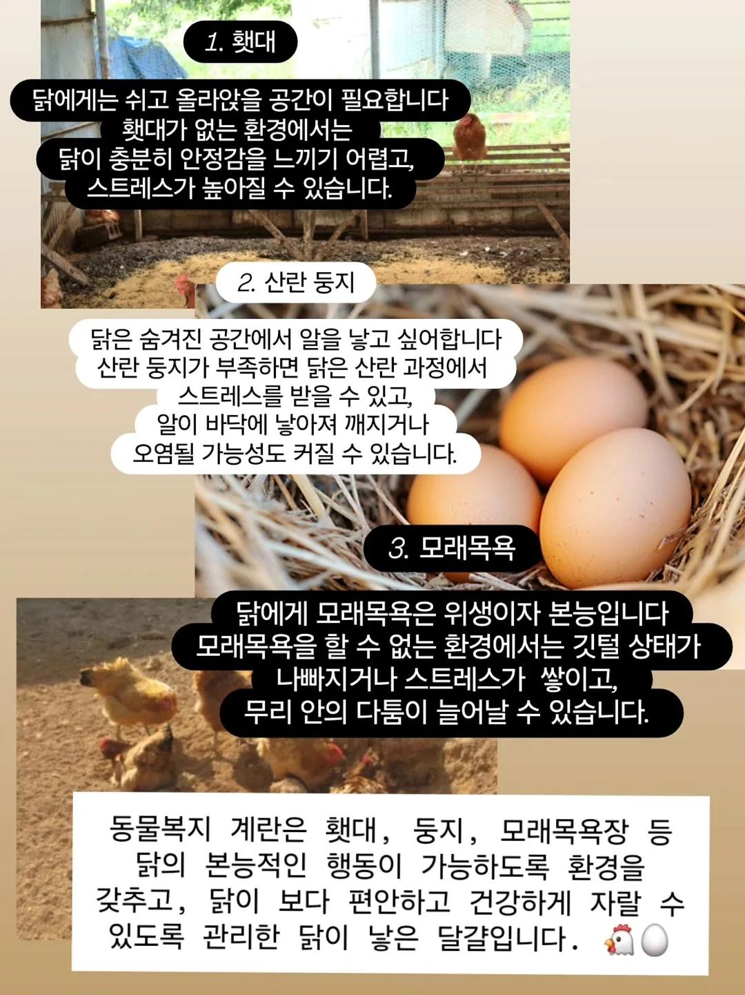 EMS 복부 벨트 10