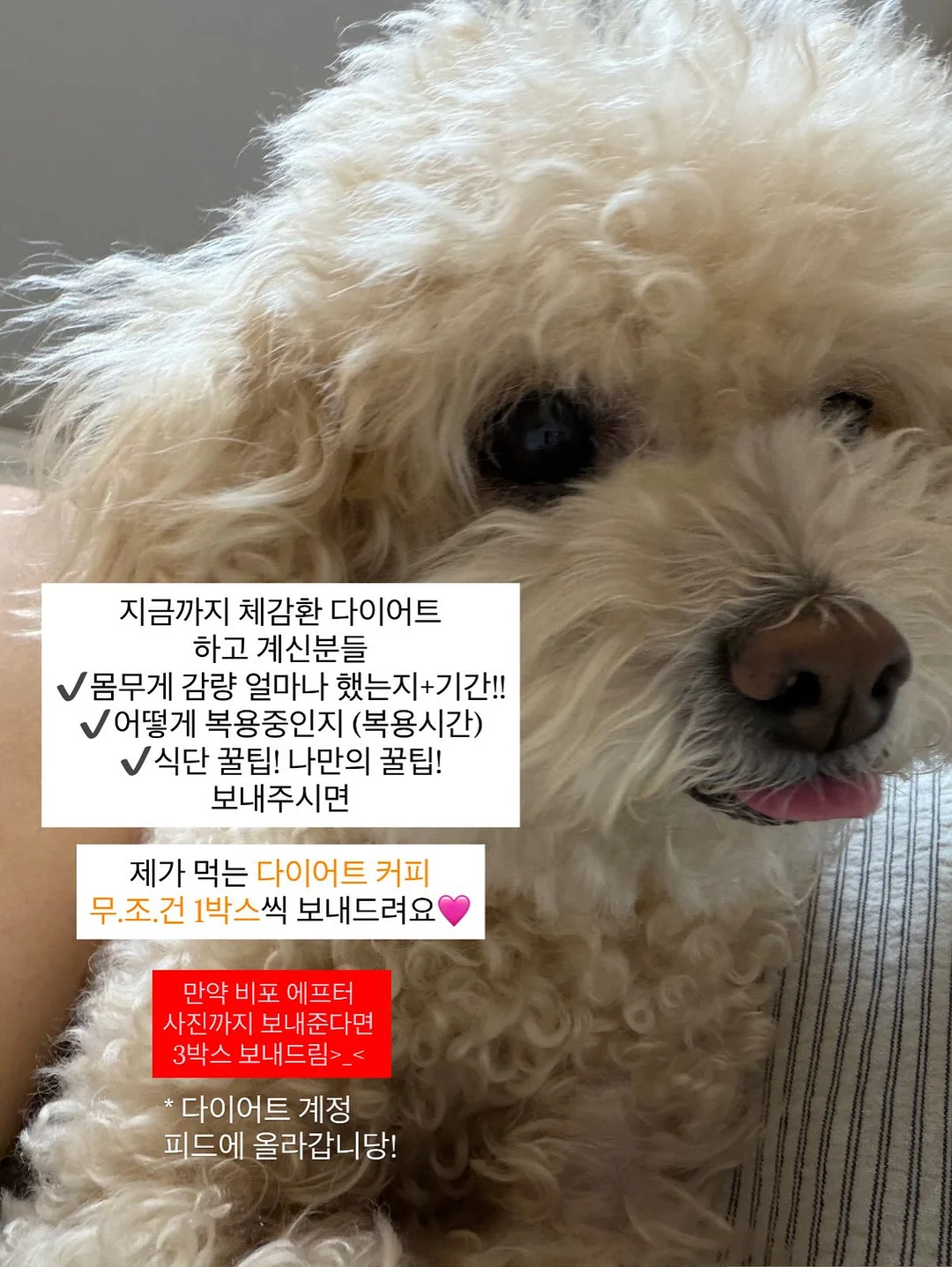 투랭ops 2
