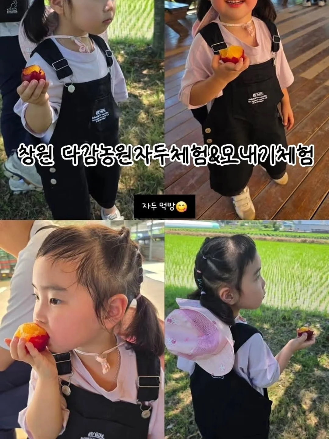 매쉬 1