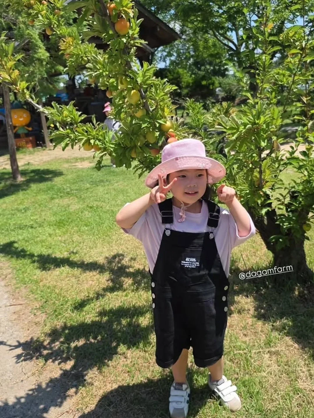 매쉬 2