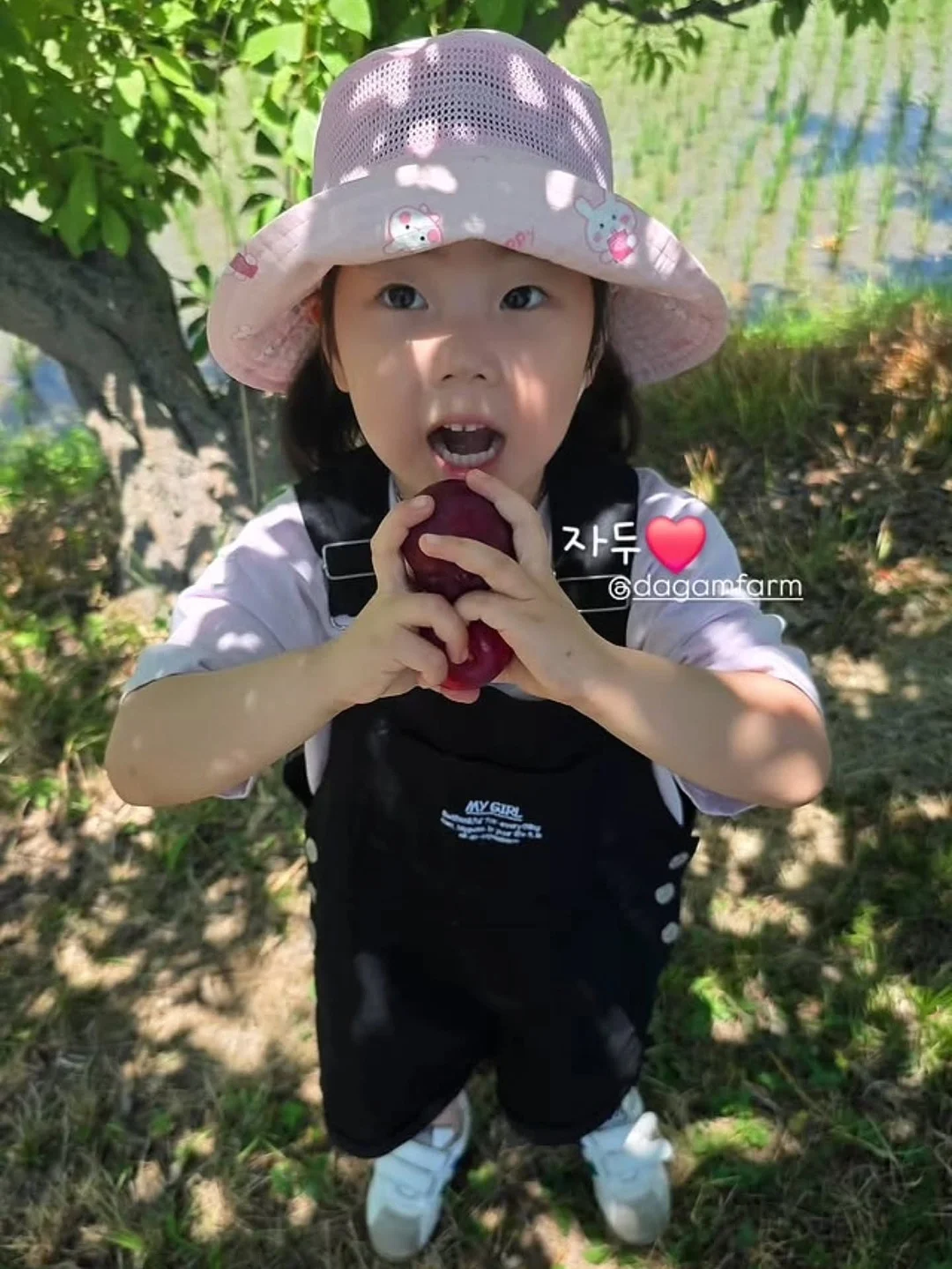 매쉬 4