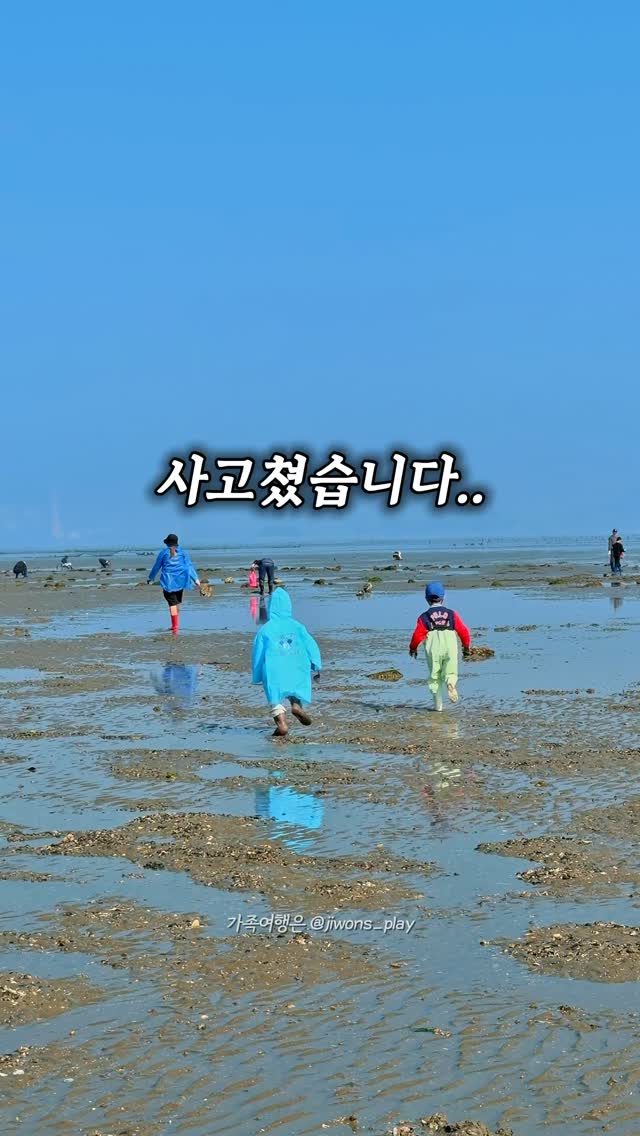 에이제트 자체제작 데일리티