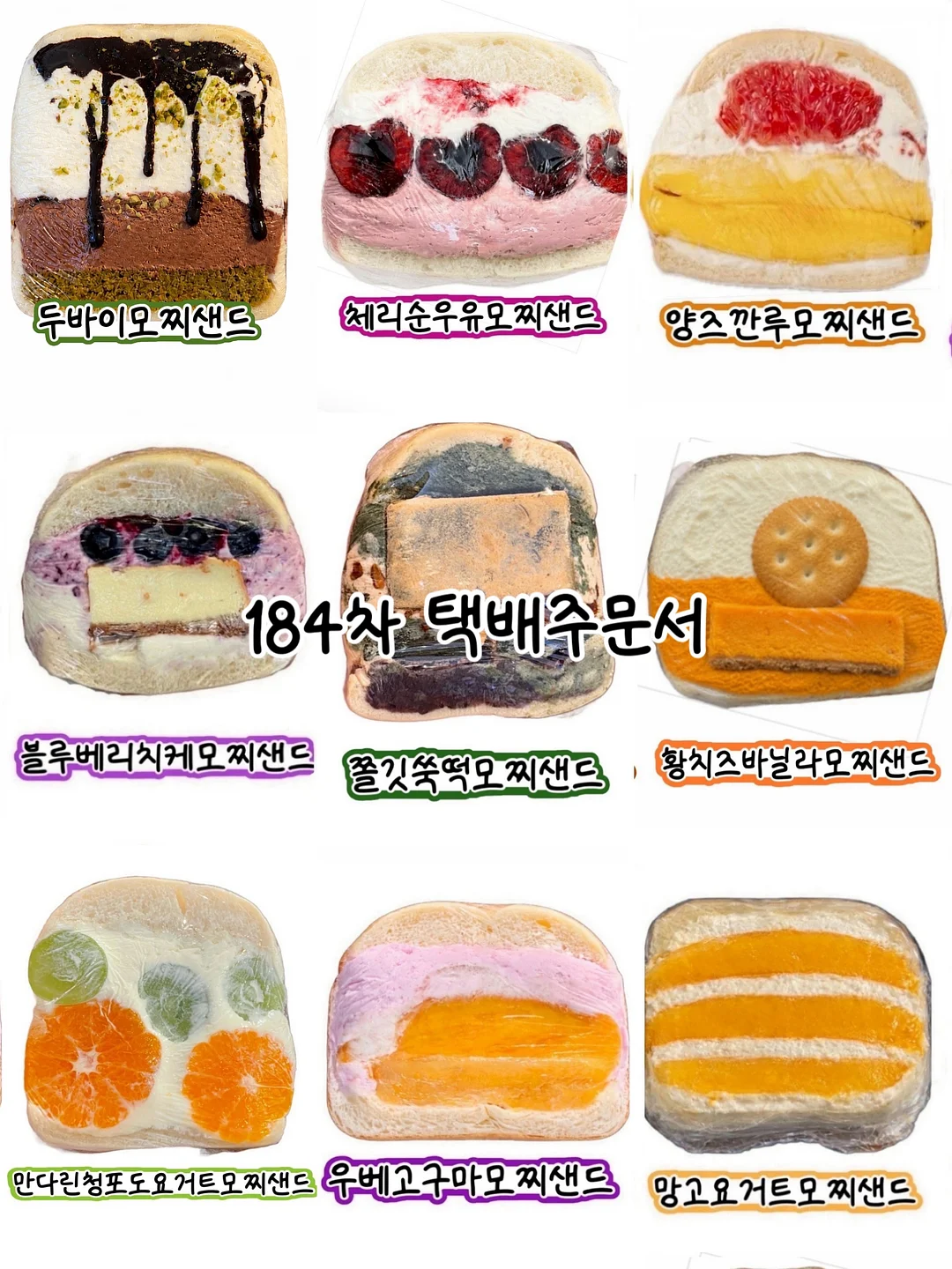 몬스테라 1