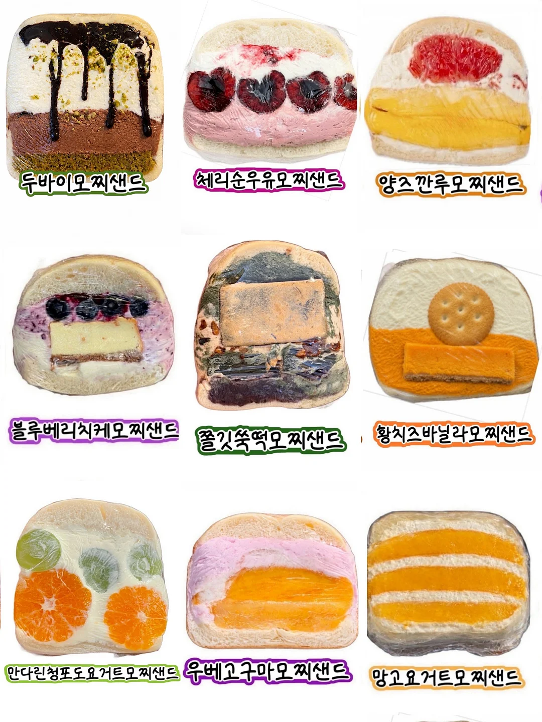 몬스테라 2