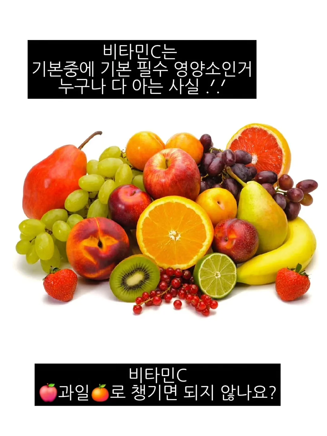 납작파우치 11