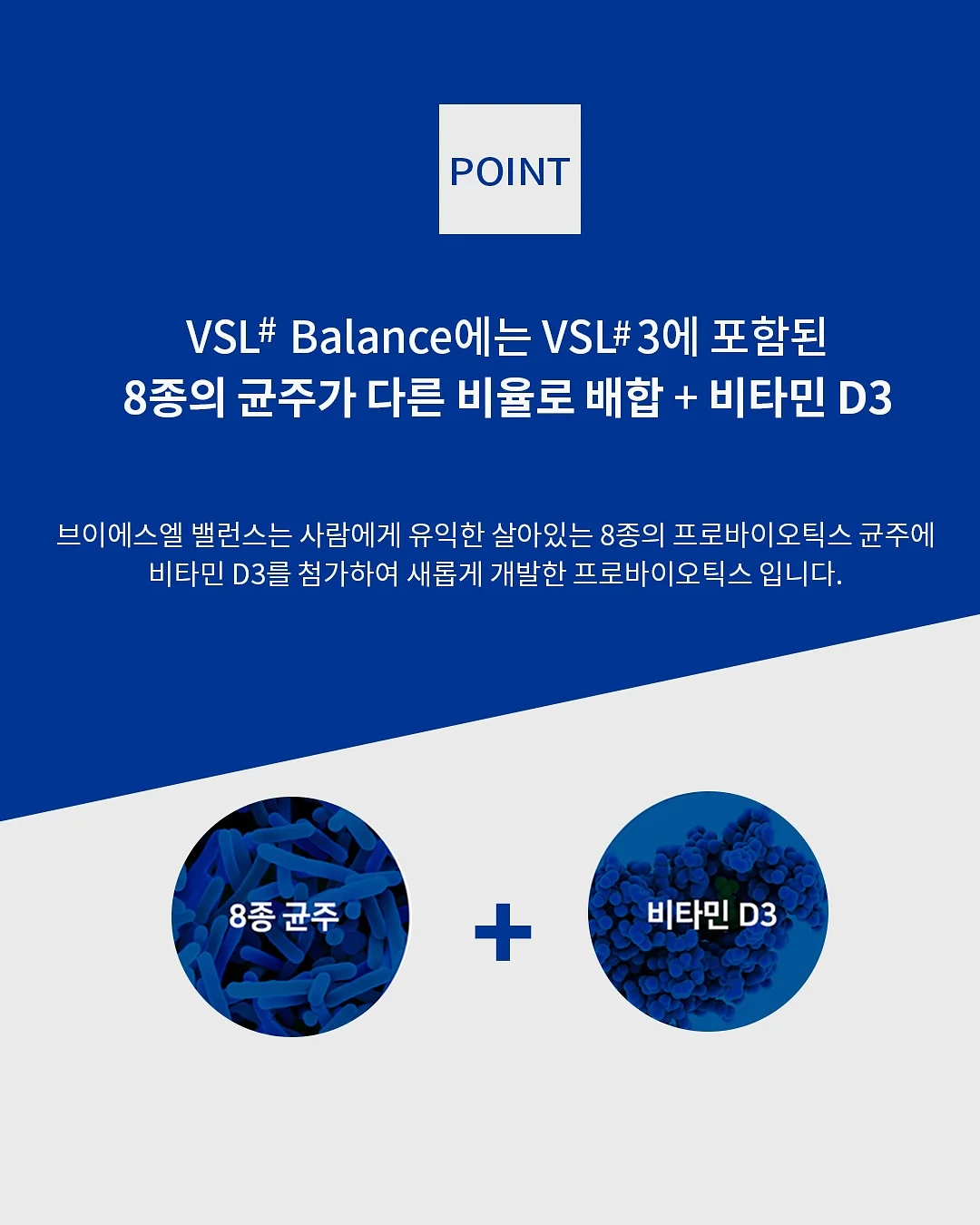 여름 필수템 7