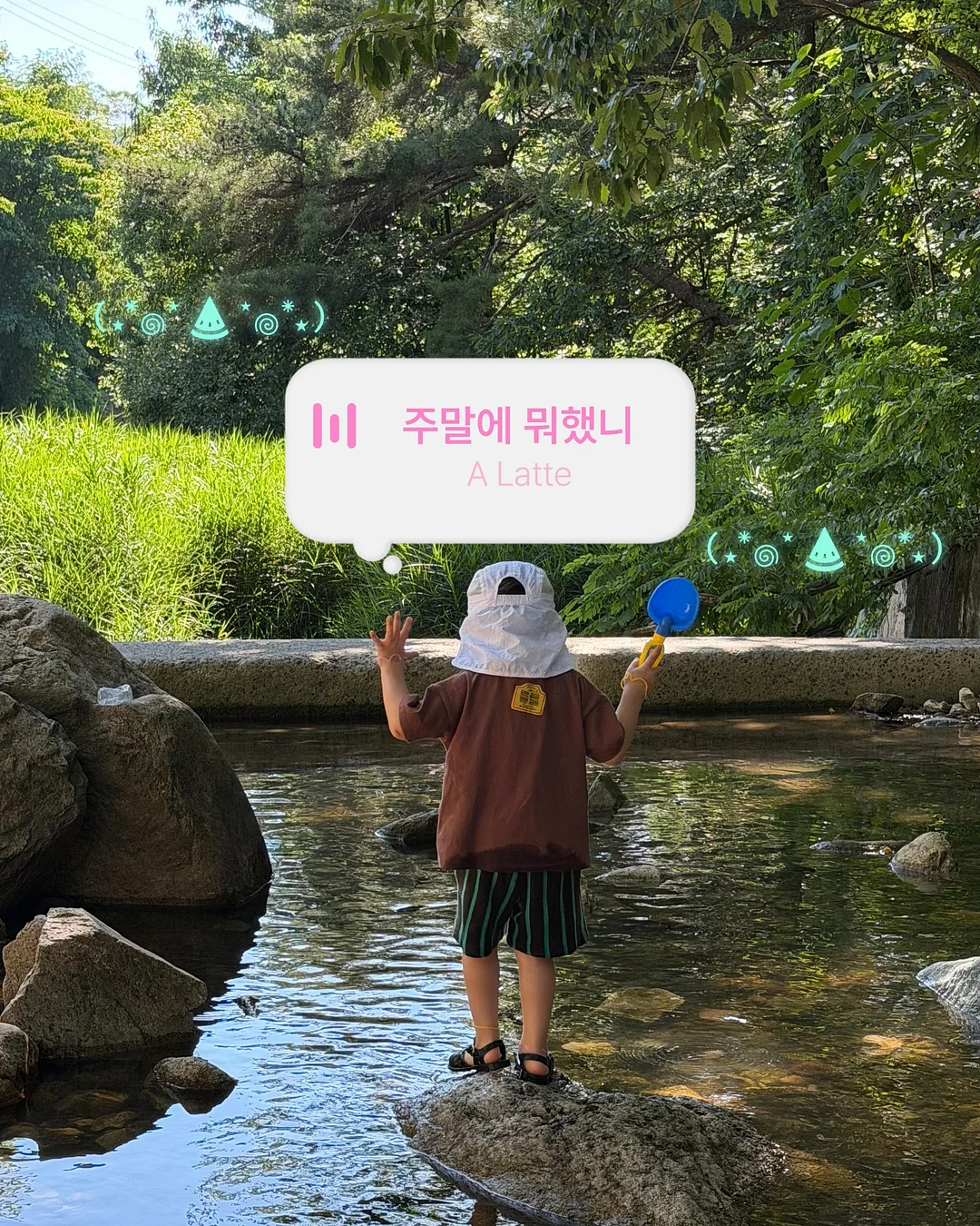 사과 커터기 1