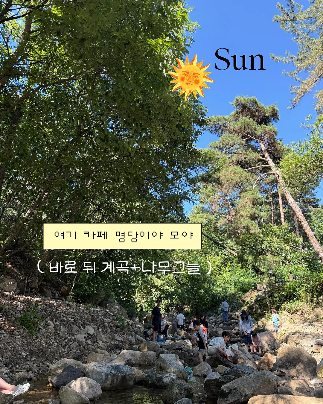 사과 커터기 2