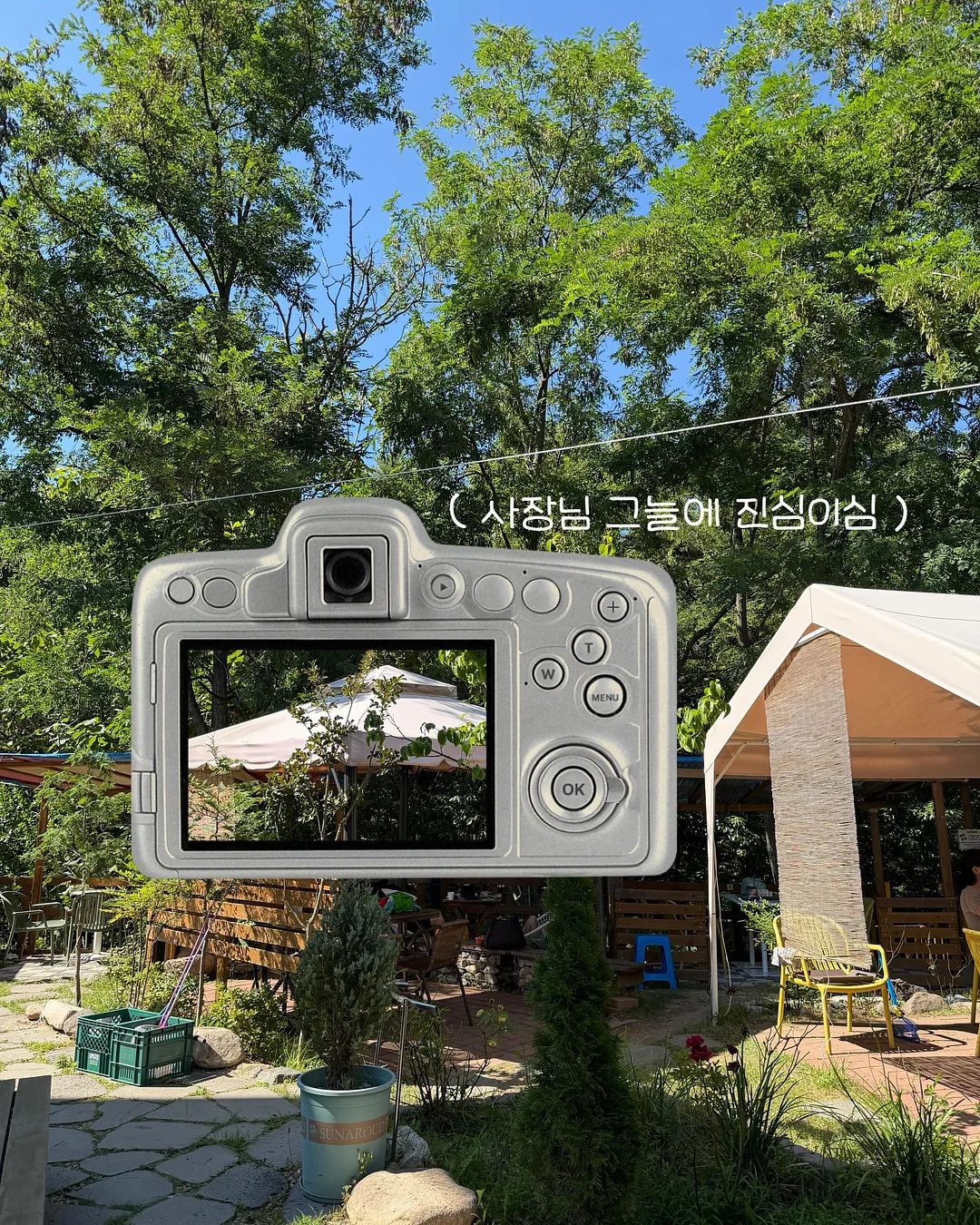 사과 커터기 4
