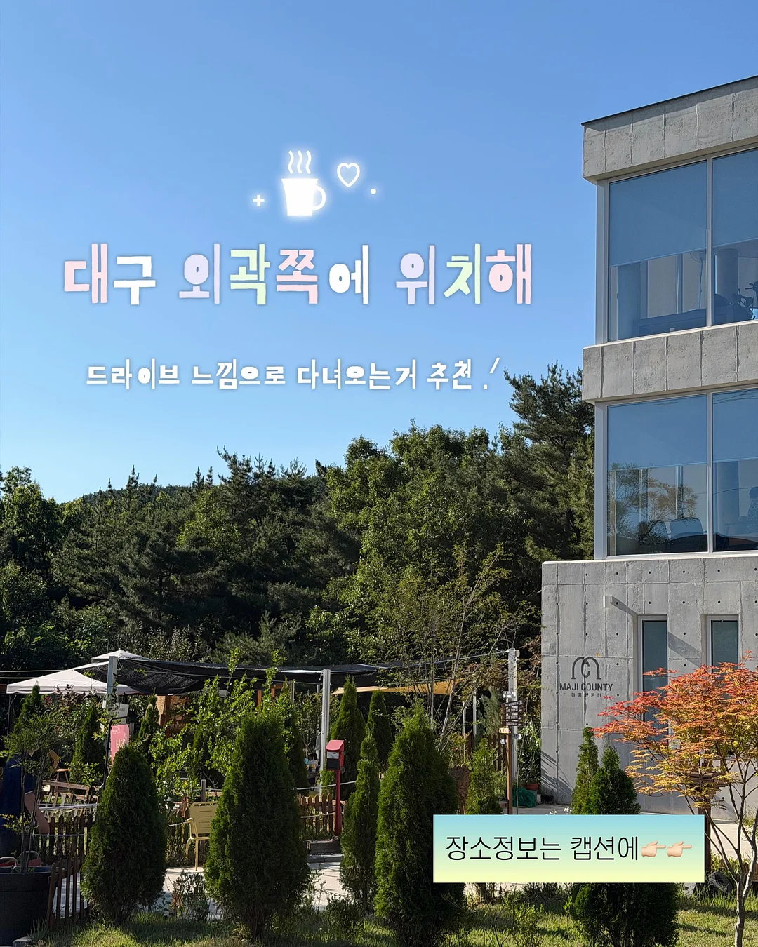 사과 커터기 9