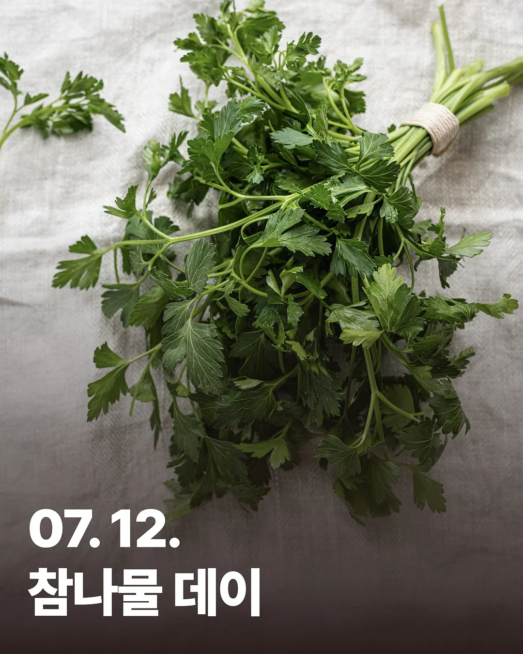 바이어트 칼로커트 4