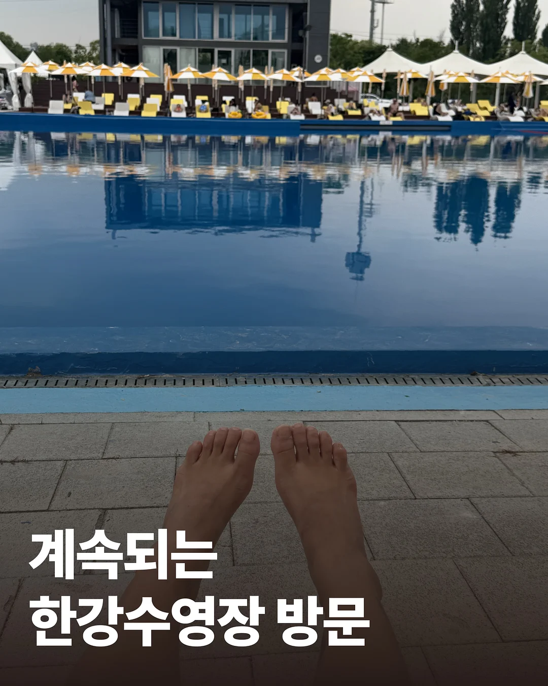 바이어트 칼로커트 8