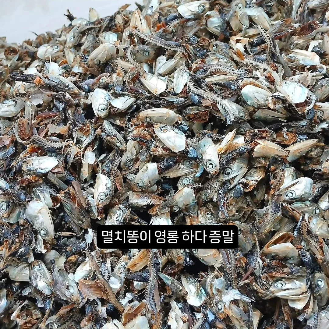 설렁탕 1