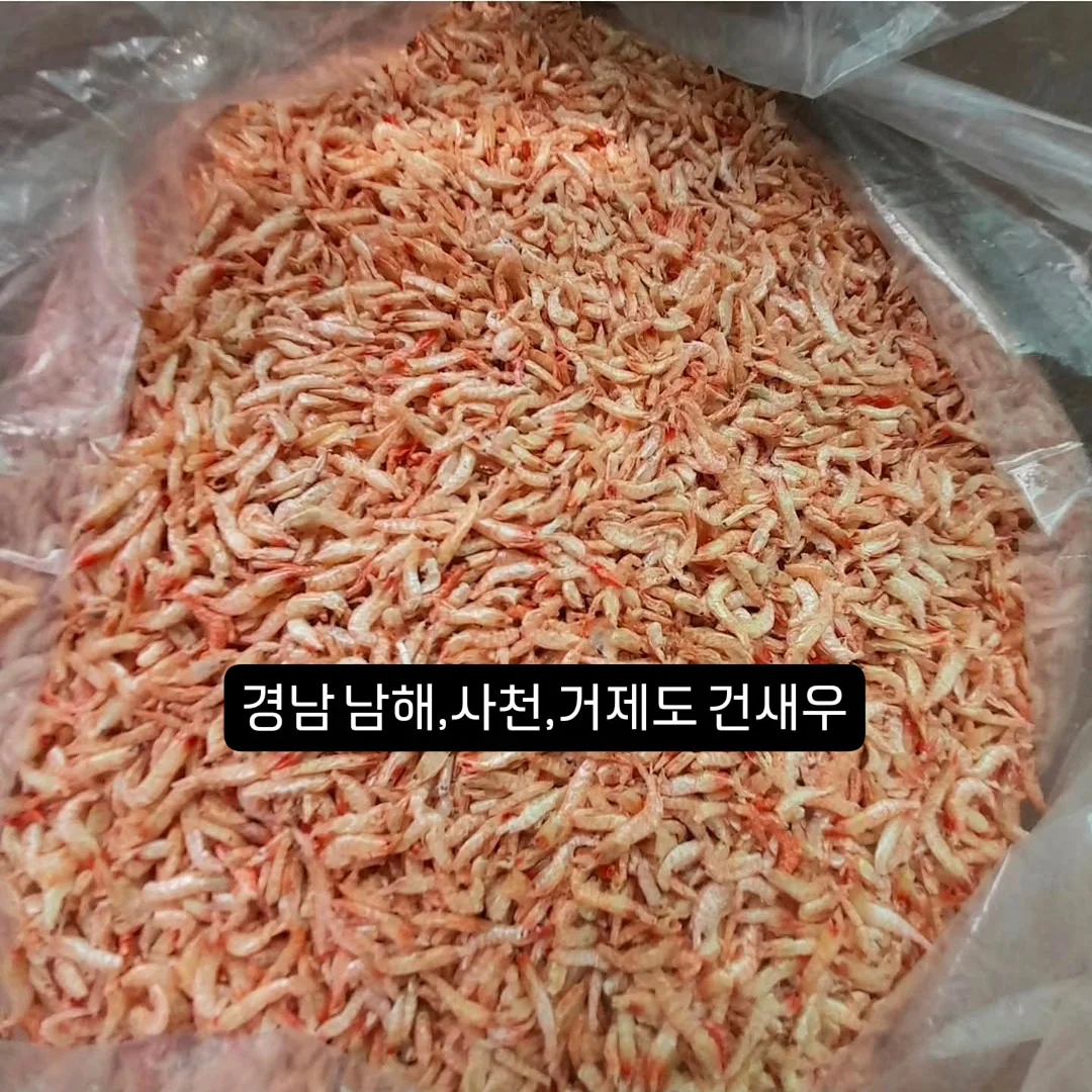 설렁탕 4
